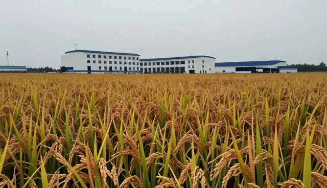 嘉兴网站制作公司助力储粮管理数字化转型