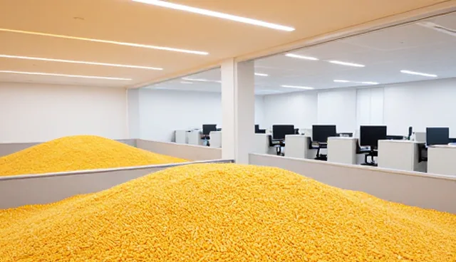 粮食流通：科学储粮的选型关注点分析